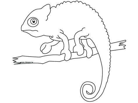 And you can freely use images for your personal blog! Cleveland Browns Coloring Pages at GetColorings.com | Free ...