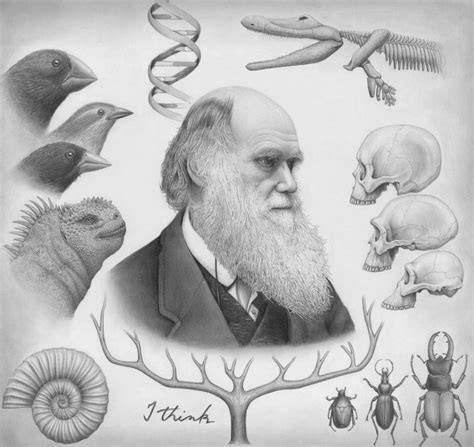Charles Darwinpowerful Legacy For Science And Art By Techgnotic On