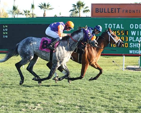 With numberfire you have access to the best horse racing predictions for free! Latest News - Turf Paradise