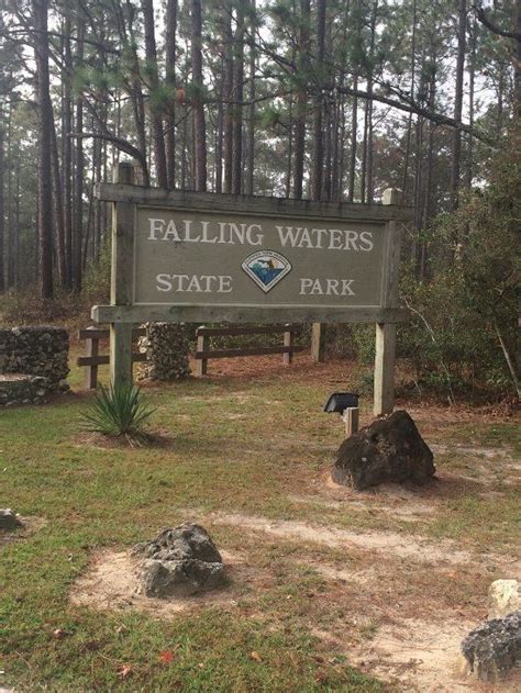 Discover One Of Florida S Most Majestic Waterfalls No Hiking