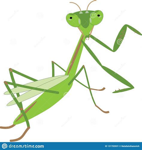 Green Mantis Animal Nature Art Background Cartoon Bug Character Stock
