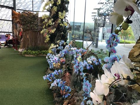 Erscheinungsdatum beliebtheit niedrigster preis höchster preis artikelbezeichnung. Garten Geschenke Selber Machen Inspirierend Floral Fantasy ...