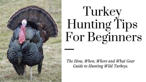 Turkey Season Is Just Around The Corner Here Is The Beginners Guide To