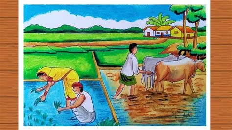 How To Draw Rice Plantation Scenery Step By Step How To Draw Indian