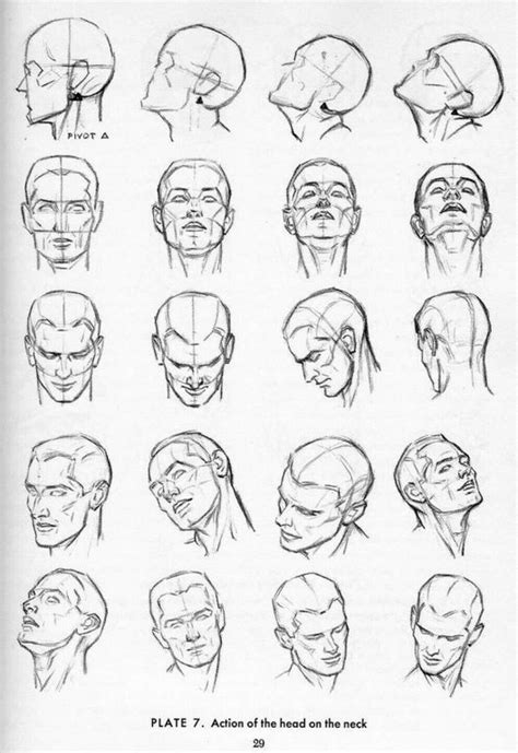 Drawing The Human Head Drawing Heads Drawing Poses Drawing Tips