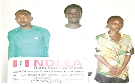 Ndlea Raids Osun Illicit Drugs Party Arrests Organisers