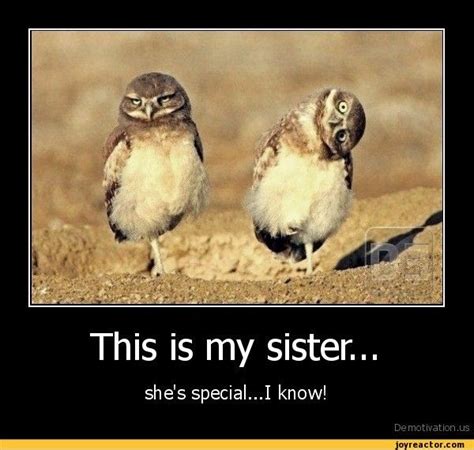 Jan 29, 2021 · whether you're a sister wanting to wish her hero a happy birthday, or an older brother giving his little bro some tough love, you'll find something here for him. Sibling Puns