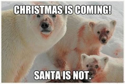 From Ho Ho Ho To Ha Ha Ha 13 Hilarious Christmas Memes That Are