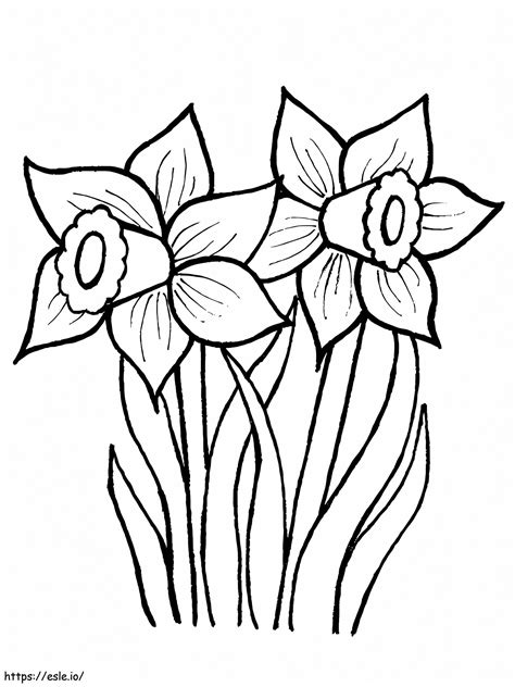 Of Daffodils Coloring Page