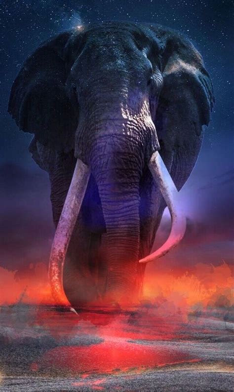Pin By Chumaniontree On Elephants Elephant Background Majestic