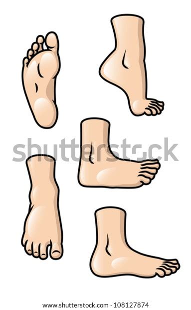 Set 5 Different Cartoon Feet Various Stock Vector Royalty Free 108127874