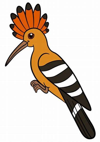 Cartoon Hoopoe Birds Dudek Depositphotos Smiles Clipart