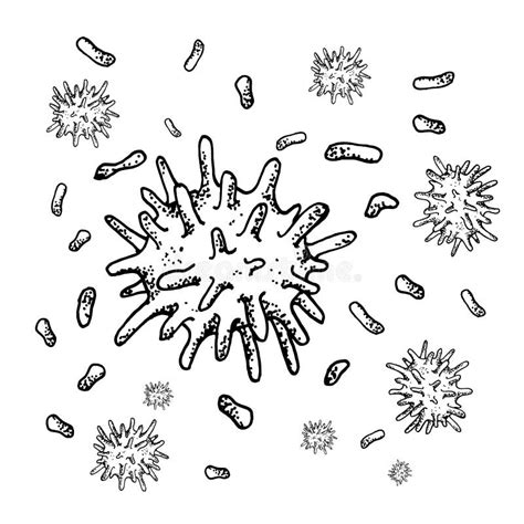 Vector Black Sketch Bacteria Isolated On White Backgtound Microbe In
