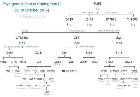Phylogenetic Tree Of Haplogroup I1 Y Dna Eupedia Phylogenetic Tree History Ancient History