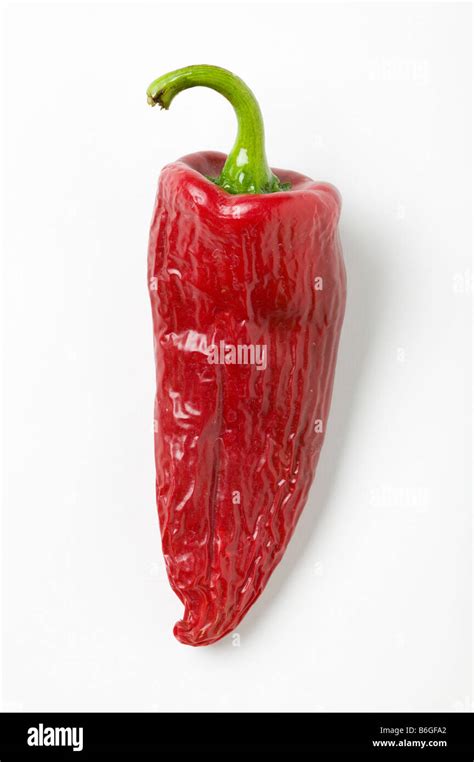 Ancho Chile Pepper Stock Photo Alamy