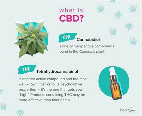your guide to cbd