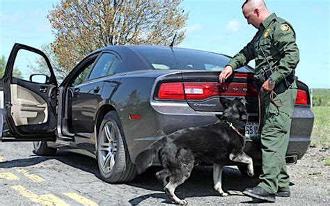 Border Patrol Agents Create Checkpoints Shut Down Highways In Maine