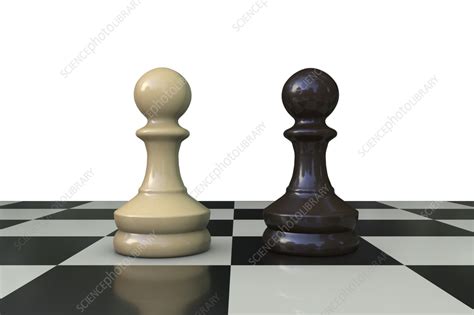 Chess Pawns Illustration Stock Image F0374921 Science Photo Library