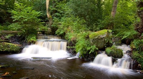 Rivelin Valley Nature Trail In Sheffield Expedia