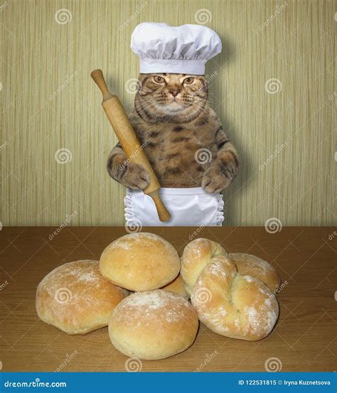 Cat Cat Baker With Loaves Of Bread Stock Image Image Of Pastry Funny 122531815