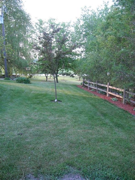 How to install a split rail fence | homeclick.cominstalling a split rail fence is an easy way to add character to a yard. using split rail fencing | Fence landscaping, Front yard fence, Garden fencing