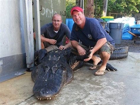 Crocodile Hunters Went Alligator Fishing 5 Pics