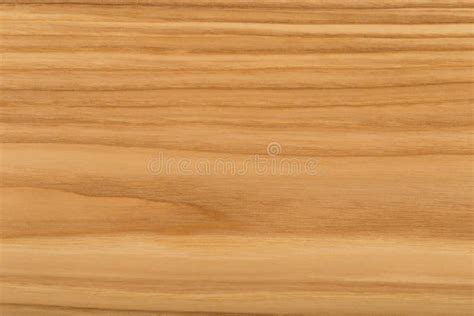 Wooden Panel Of Natural Wood Wood Texture Stock Photo Image Of