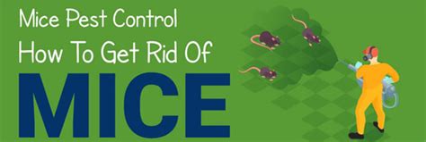 Mouse Pest Control How To Get Rid Of Mice Infographic Infographic