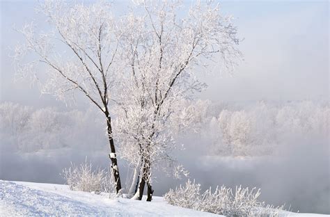 High Resolution Desktop Wallpaper Of Winter Image Of Snow Landscape
