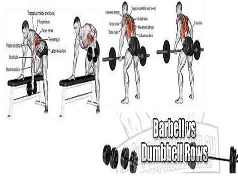 Barbell Row Vs Dumbbell Row And Which Is Superior