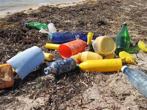 Plastics In The Ocean How They Get There Their Impacts And Our