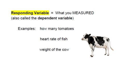 Identifying Manipulated And Responding Variables