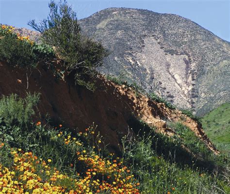 San Bernardino Mountains Land Trust About Us