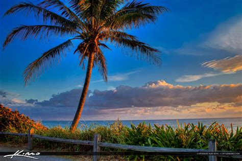 Sunrise At Coral Cove Park Beach With Coconut Tree Royal Stock Photo