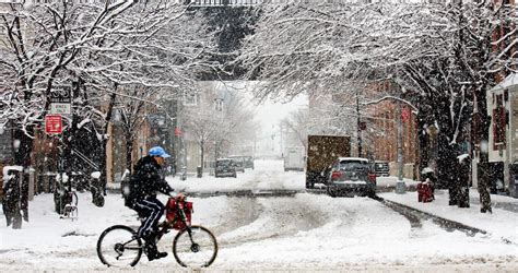 Nyc Snow Day Best Things To Do From Sledding To Board