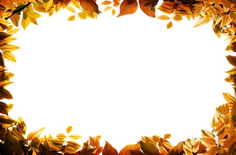 Borders With Leaves Fall Leaves Border Png Autumn Leaf Png And Images
