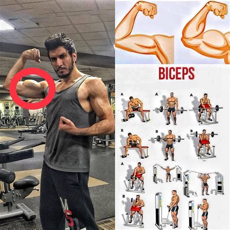 Biceps Exercises Video Training Weighteasyloss Com
