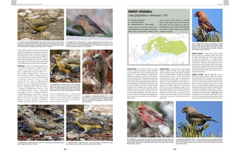 Handbook Of Western Palearctic Birds 1and2 Shirihai And Svensson