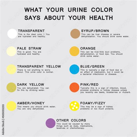 What Your Urine Color Says About Your Health Urine Color Chart Colorful Symbols Vector