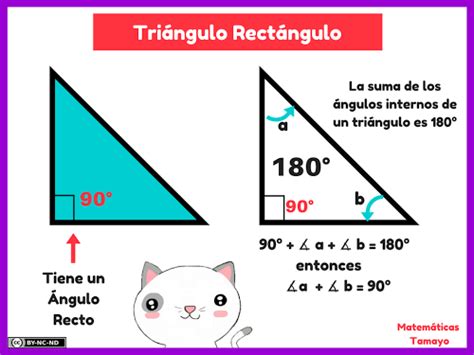 Teorema De PitÁgoras Matemáticas Tamayo Matematicas Teorema De