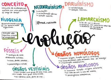 Mapa Mental Sobre Evolução EDULEARN