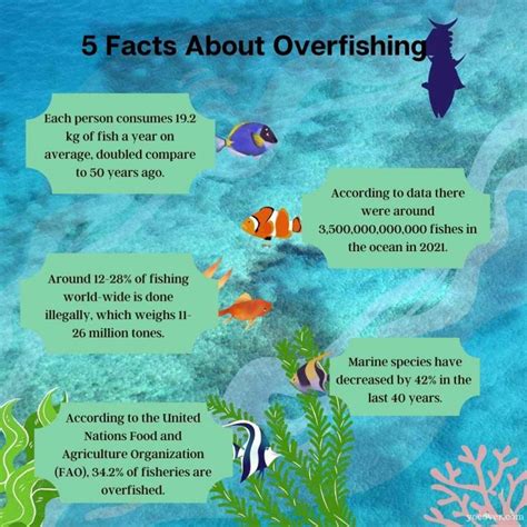 13 Important Facts About Fishing We All Must Know