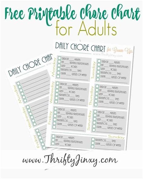 40 Chore List For Adults In 2020 Daily Chore Charts Household Chores