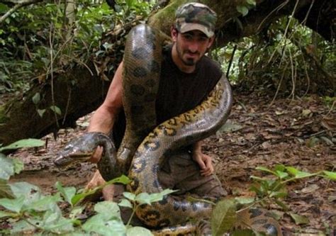 Anaconda Eaten Man Alive A Thrilling Revealation By Discovery