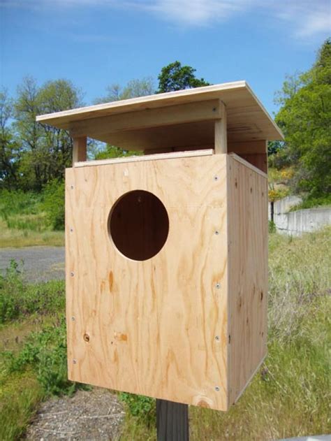 Pellet Lab Nesting Boxes Barn Owl Bat And Tree Swallow Nesting