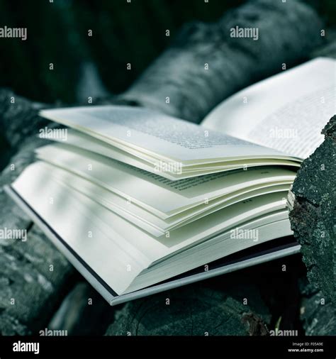 Cramming Book High Resolution Stock Photography And Images Alamy