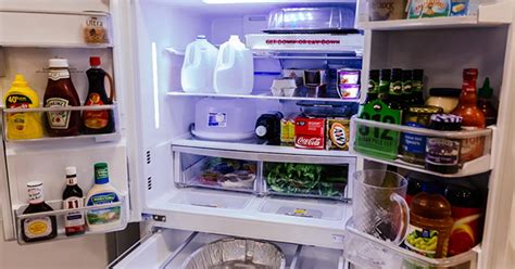 Fix A Leaking Fridge And Other Common Refrigerator Problems Heres How