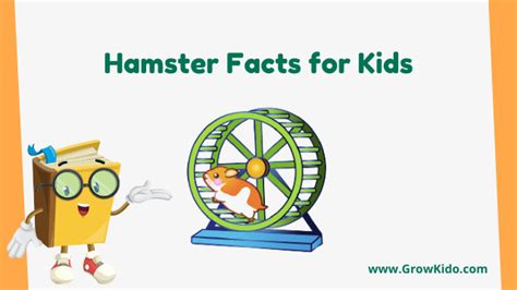 11 Amazing Hamster Facts For Kids Updated Facts 2022