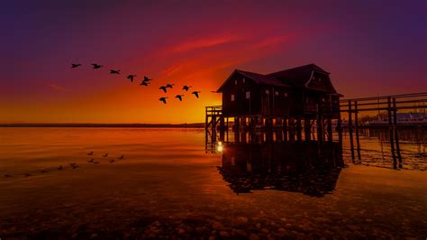 2560x1440 Lake House On Pier Birds Flying Sunset Scenery 1440p
