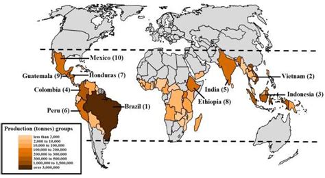 Geographical Distribution Of Coffee Production Source Fao 2014 The
